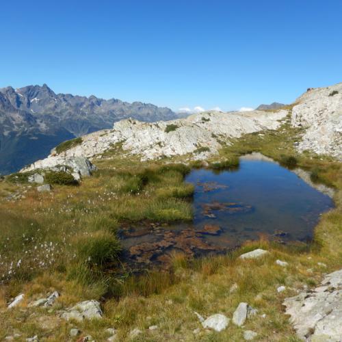 Tourbière de l'Alpe d'Huez  [C. DEHAIS]